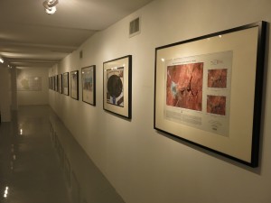 Inside the gallery